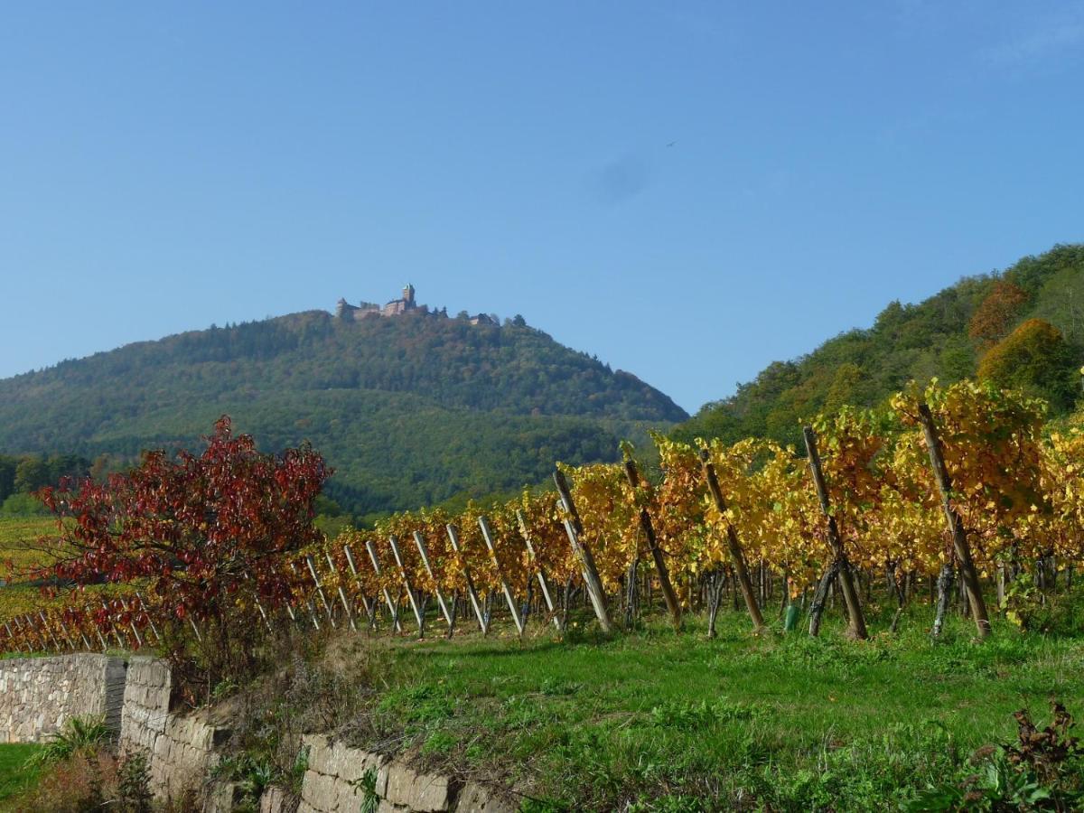 Gite D'Alsace L'Escale Ostheim Dış mekan fotoğraf